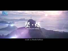 Video promocional del grupo Shanghai Walmay Metal